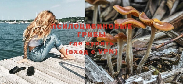 стафф Надым