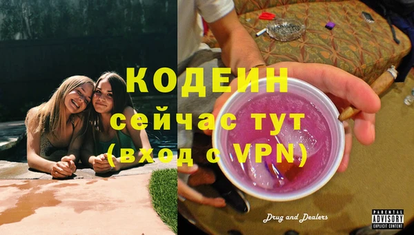 стафф Надым