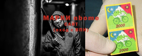 стафф Надым
