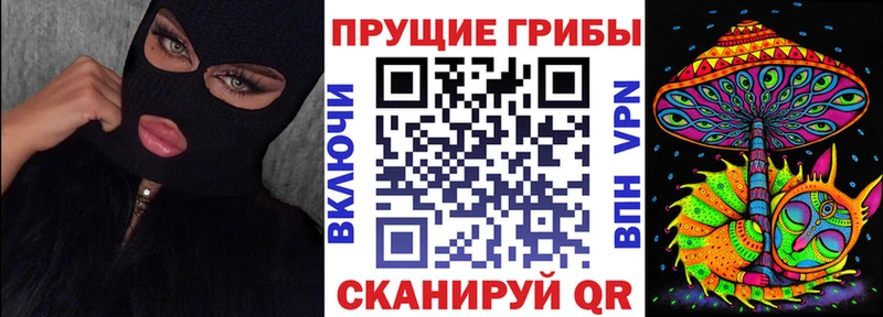 Купить где  Нарткала  Псилоцибиновые грибы прущие грибы 